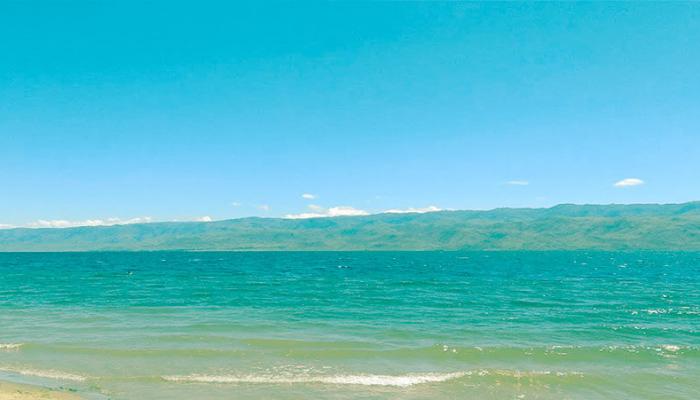 5. Sunbathe and Swim