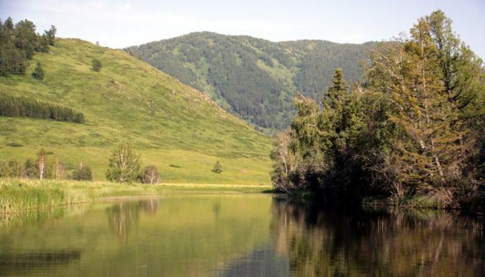 Wonderfull nature of Altai