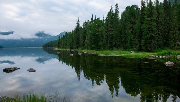 Katon-Karagay - Туры