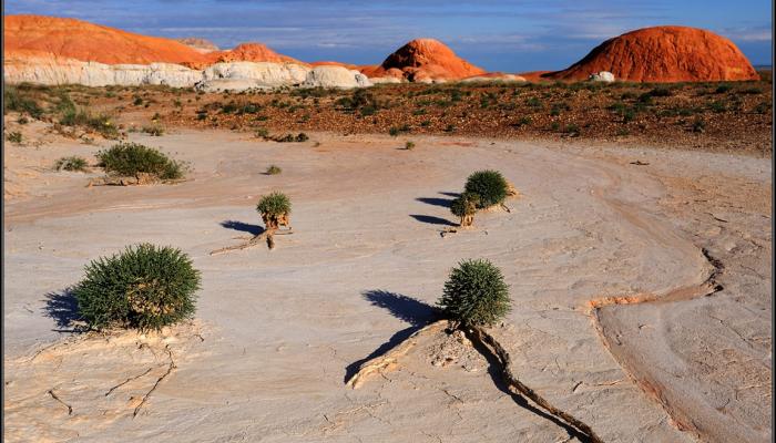 The Treasures of Qiyn-Kerish