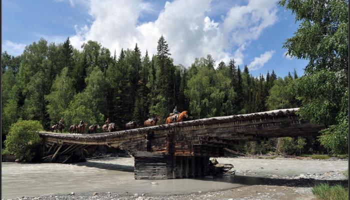 A selection of horseback riding tours