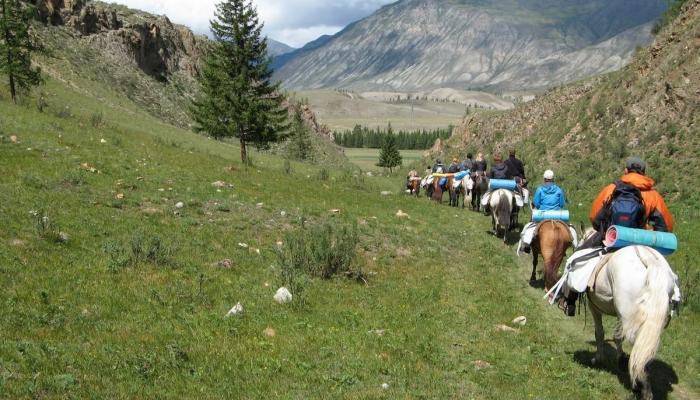 Horseback riding tours