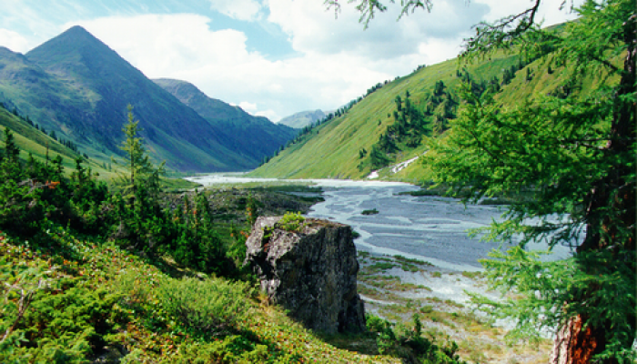 Kuludzhunsky Nature Reserve