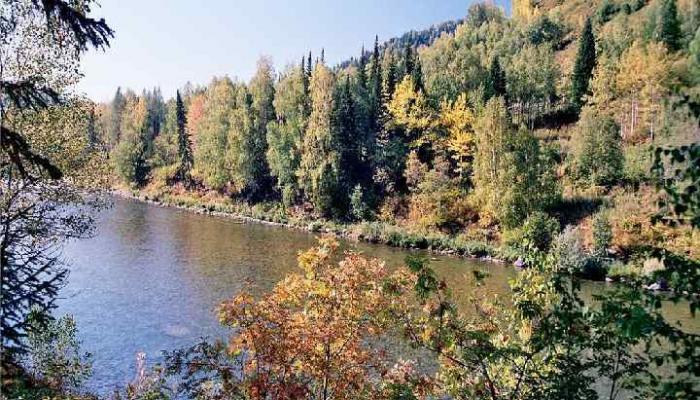 Nizhneturgusunsky Nature Reserve