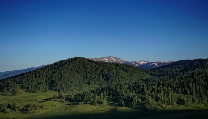 Tarbagatai Nature Reserve