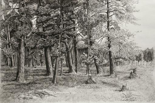  - Visit East Qazaqstan