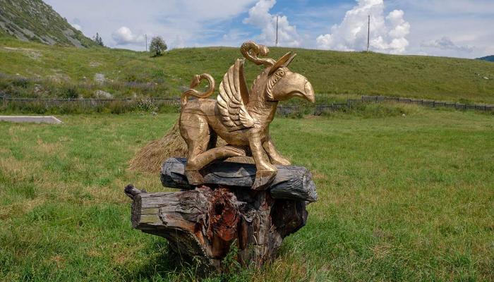 Катонқарағай экскурсиялық бағдарламасы. 