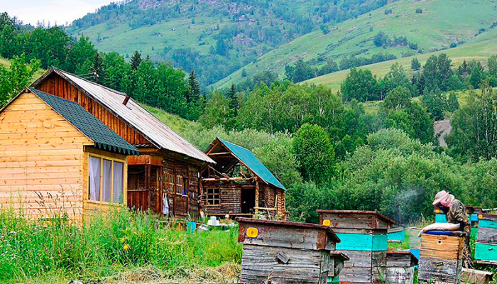 Заимка Климово Қонақ үйі