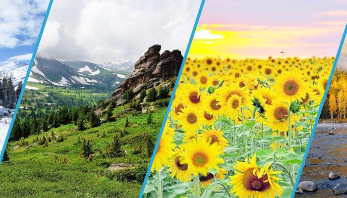 Жыл мезгілдері