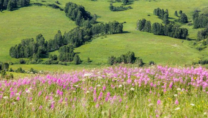 Қорық тұңғиығы